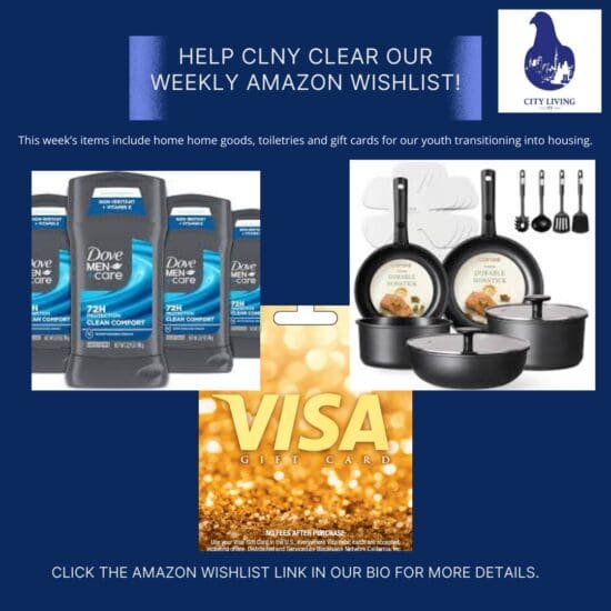 Help CLNY Clear Our Weekly Amazon Wishlist!